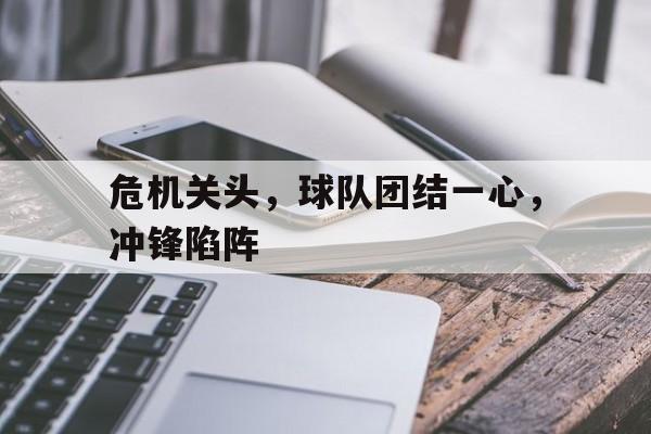 危机关头，球队团结一心，冲锋陷阵的简单介绍